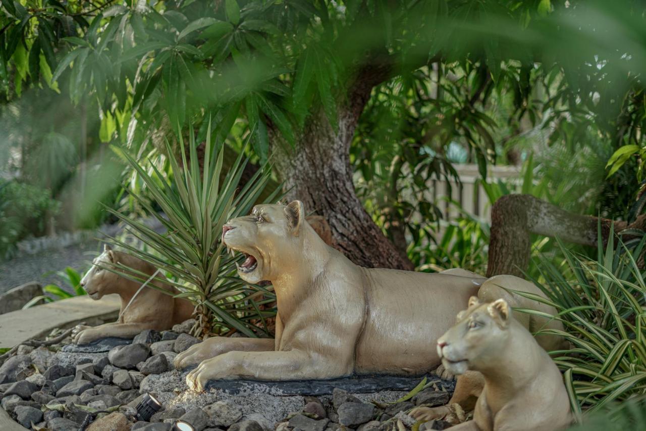 Sterling Gir Hotel Talala Ngoại thất bức ảnh
