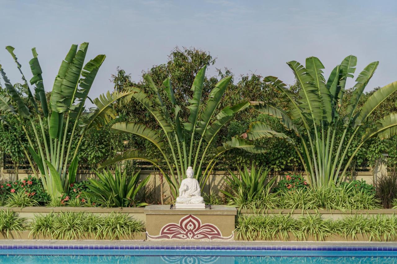 Sterling Gir Hotel Talala Ngoại thất bức ảnh